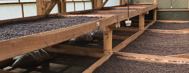 COLOMBIA Puerto Alegre Carbonic Maceration Natural